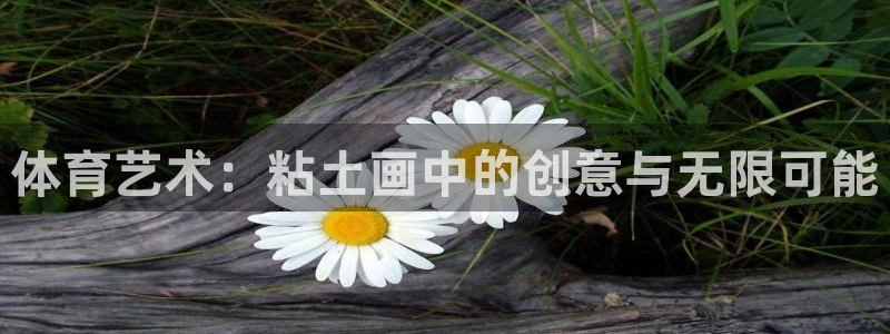 678体育官网地址