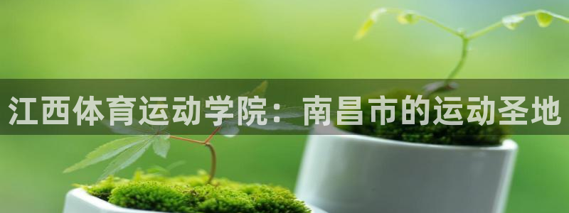 678体育官网地址
