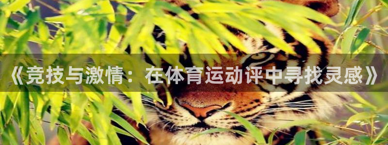 678体育官网