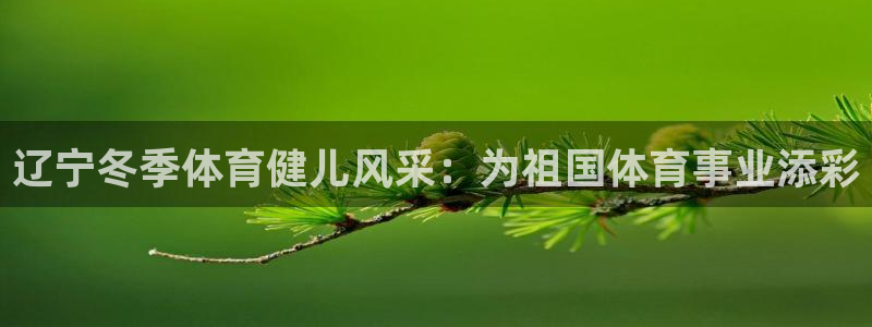 678体育
