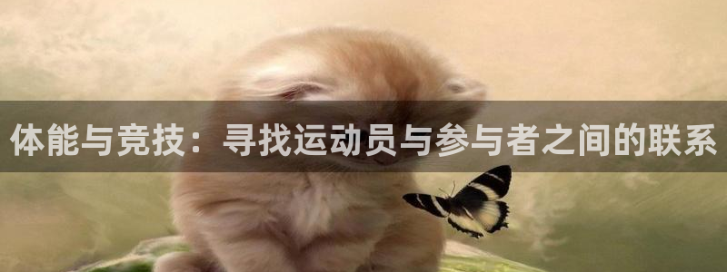 678体育app