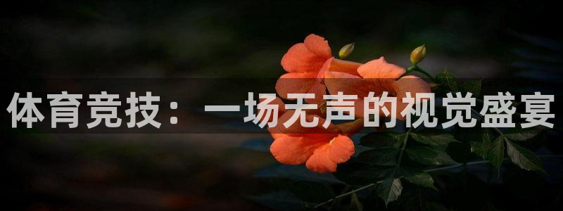 678体育