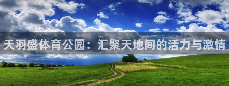 678体育