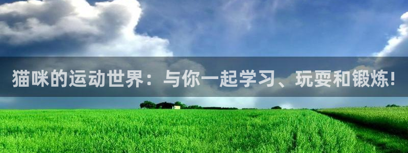 678体育官网