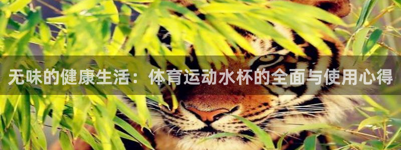 678体育