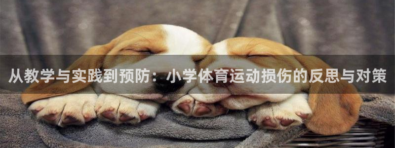 678体育官网下载