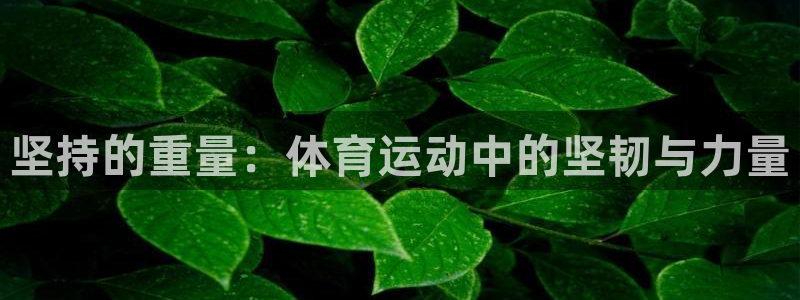 678体育知识