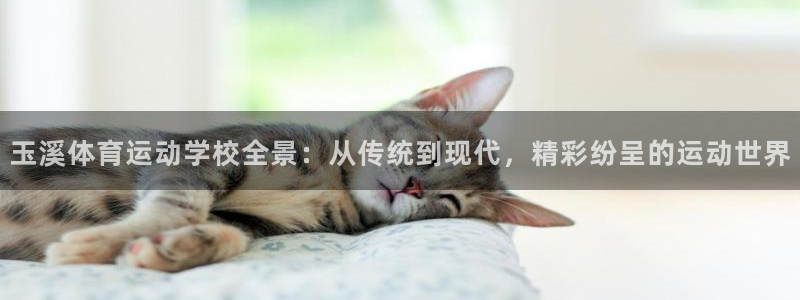 678体育官网下载